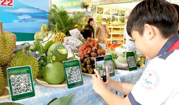 Khách hàng truy xuất nguồn gốc sản phẩm trái cây thông qua việc quét mã số vùng trồng. Ảnh: ITN